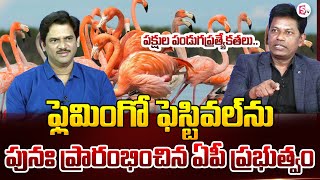 5 ఏళ్ల తర్వాత ఫ్లెమింగో ఫెస్టివల్.. Analyst Subrahmanyam About Significance of Flamingo Festival