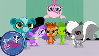 Littlest Pet Shop | Books and Covers | Season 1 | Pet Cartoon