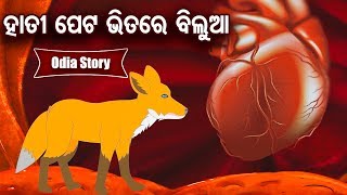 Hati Peta Bhitare Bilua ହାତୀ ପେଟ ଭିତରେ ବିଲୁଆ Odia Moral Stories | Sidharth TV