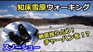 知床雪原ウォーキング　鹿がいた！スノーシューで歩く！？