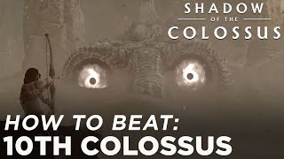 Shadow of the Colossus PS4 - 10th Colossus Boss Fight Guide