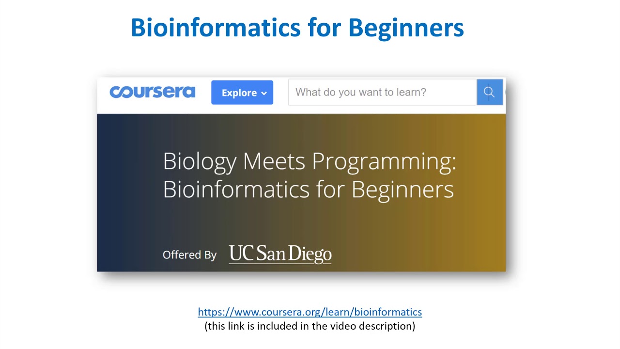 Bioinformatics For Beginners - YouTube