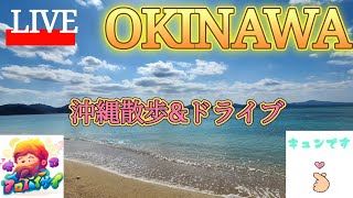 沖縄やんばるに行く、沖縄ドライブ&散歩