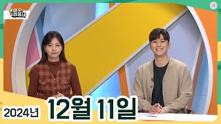 [어바웃 우리동네] 12/11(수) 고흥 황금빛 유자 상큼한 향기, 바다의 단풍..여수 홍가리비, 굴무밥