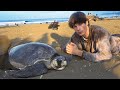 I Volunteered With Sea Turtles In Costa Rica (Life Changing)