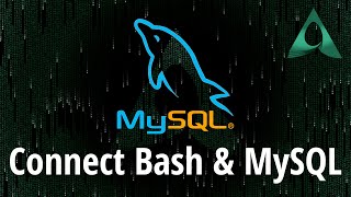 How to Connect to MySQL Using Bash Script