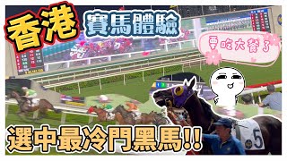 香港賽馬體驗｜選中最冷門黑馬｜沙田馬場｜茶樹糖溜達去