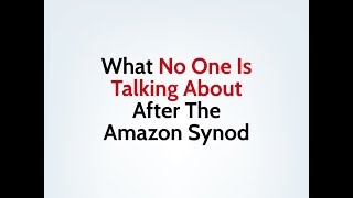 What No One Is Talking About After The Amazon Synod