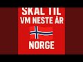 Norge skal til VM neste år