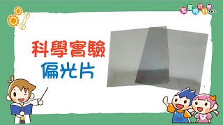 【光柵原理】科學實驗偏光片  ｜多用處的偏光片｜Grating｜Science Experiments for School｜科學實驗教材