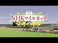 【ダビスタswitchブリーダーズカップ】2021年1月27日開催 7r 11r nhkマイルc・京都新聞杯・3歳以上オープン・3歳以上オープン ダート