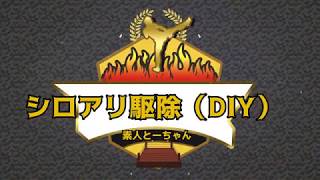 【DIY】素人とーちゃんが床下シロアリ駆除に挑戦してみた！！