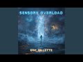 Sensory Overload