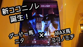 [スタホR] ココニノレ誕生！！ダービー馬ニタ×MAX馬ココノミチの子供！！