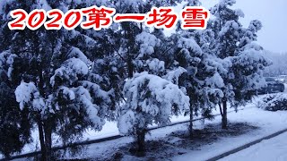 2020年第一场雪,first snow of 2020