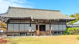 勧修寺 山科 京都 / Kaju-ji Temple Kyoto