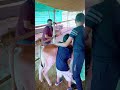 हमने वसुधा ग़ौग्राम क्यू खोला 😳😳 baawalechoreshorts cowlover