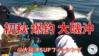 初秋 爆釣 @大磯沖SUPフィッシング