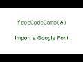Basic CSS: Import a Google Font | freeCodeCamp