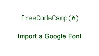 Basic CSS: Import a Google Font | freeCodeCamp