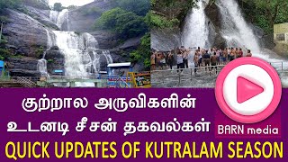 குற்றால அருவிகளின் உடனடி சீசன் தகவல்கள் | Quick Updates of Kutralam Season | BARN Media