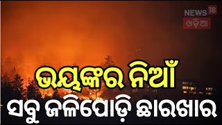 Keonjhar : ଭୟଙ୍କର ନିଆଁ ସବୁ ଜଳିପୋଡି ଛାରଖାର | Forest Fire in Keonjhar | Hundreds Of Trees Gutted