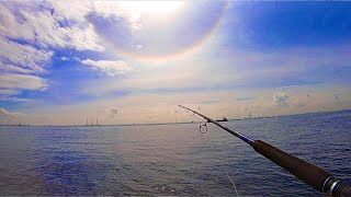 【東京湾奥でサワラがたくさん跳ねてる場所】【丸い虹の下にはたくさんのお魚さん】の二本立てでお送りします。東京湾をぐるっと一周パトロールしてきました。色々情報発信してます😊