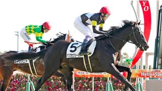 【中京６Ｒ・３歳未勝利】セレクトセール高額馬のアスクセクシーモアが抜け出す　武豊騎手と福永調教師のタッグは初勝利