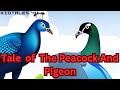 The Tale Of Peacock and the Pigeon🦚🕊️ ||@KidTales-4u