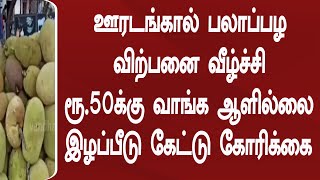 ஊரடங்கால் பலாப்பழ விற்பனை வீழ்ச்சி ரூ 50க்கு வாங்க ஆளில்லை