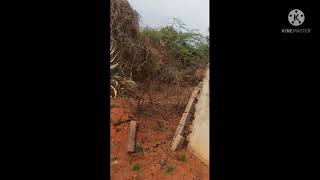 #Nanjangud 18 km land for sale 100 Acres Per Acre 12L   7892932308