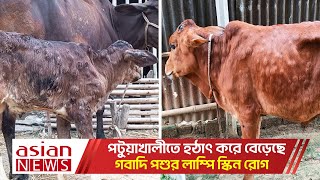 পটুয়াখালীতে হঠাৎ করে বেড়েছে গবাদি পশুর লাম্পি স্কিন রোগ