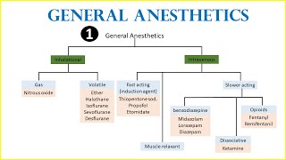 General anesthetics (Classification and overview)