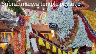 shree Jnanashakthi subrahmanya temple pavanje, haleangadi, mangalore