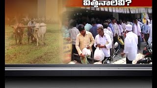 Jai Kisan TS - 4th Jul 2016 - అందుబాటులో లేని రాయితీ అపరాల విత్తనాలు