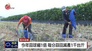 72年來最暖冬 雲林蒜頭減產3-5成 2019-03-05 IPCF-TITV 原文會 原視新聞