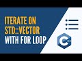 C++ - Go Through Each Element of an std::vector With a For Loop
