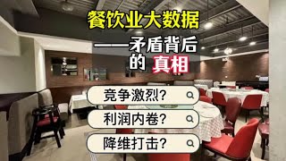 从『北京市餐饮大数据』说起｜竞争激烈｜利润内卷｜消费收缩｜降维打击（粤语中字）