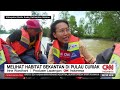 melihat habitat bekantan di pulau curiak redaksi pagi 07 10 24