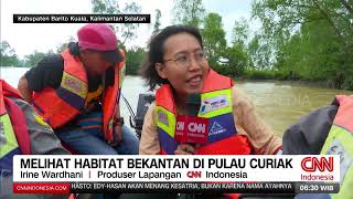 Melihat Habitat Bekantan Di Pulau Curiak | REDAKSI PAGI (07/10/24)