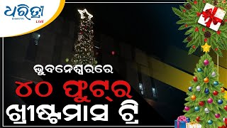 ଭୁବନେଶ୍ୱରରେ ୪୦ ଫୁଟ୍‌ର ଖ୍ରୀଷ୍ଟମାସ ଟ୍ରି | Bhubaneswar's Tallest Christmas Tree