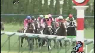 [レースリプレイ] 080621 3阪神1 04R 新馬