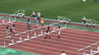 2013年 西日本学生陸上競技対校選手権大会 男子110mH予選8組