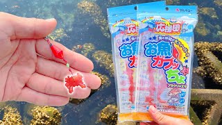 【新商品】イチゴの香り人工餌「お魚ガブッちょ」は本当に釣れるのか？