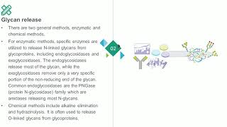 Glycomics Analysis