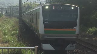 【車窓＋車内映像シリーズ】E233系3000番台 日立IGBT　東海道線 根府川→早川間