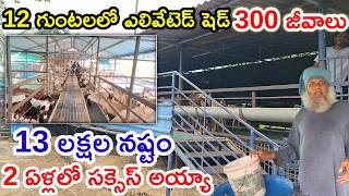 2 ఏళ్లలో సక్సెస్ అయ్యా Amg goat \u0026sheep farms @MalleshAdla