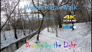 Walk in the forest in Winter | Trnava (Kamenny mlyn) Slovakia | Relax music | 4K