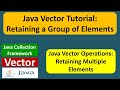 Java Vector: Retaining a Group of Elements | Java Collection Framework