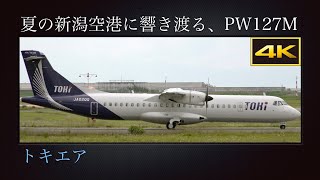 4K トキエア(Toki Air)  2号機  札幌丘珠空港での路線訓練飛行 : 夏の新潟空港に響き渡る、PW127M のターボプロップエンジンサウンド  ATR 72-600  JA02QQ